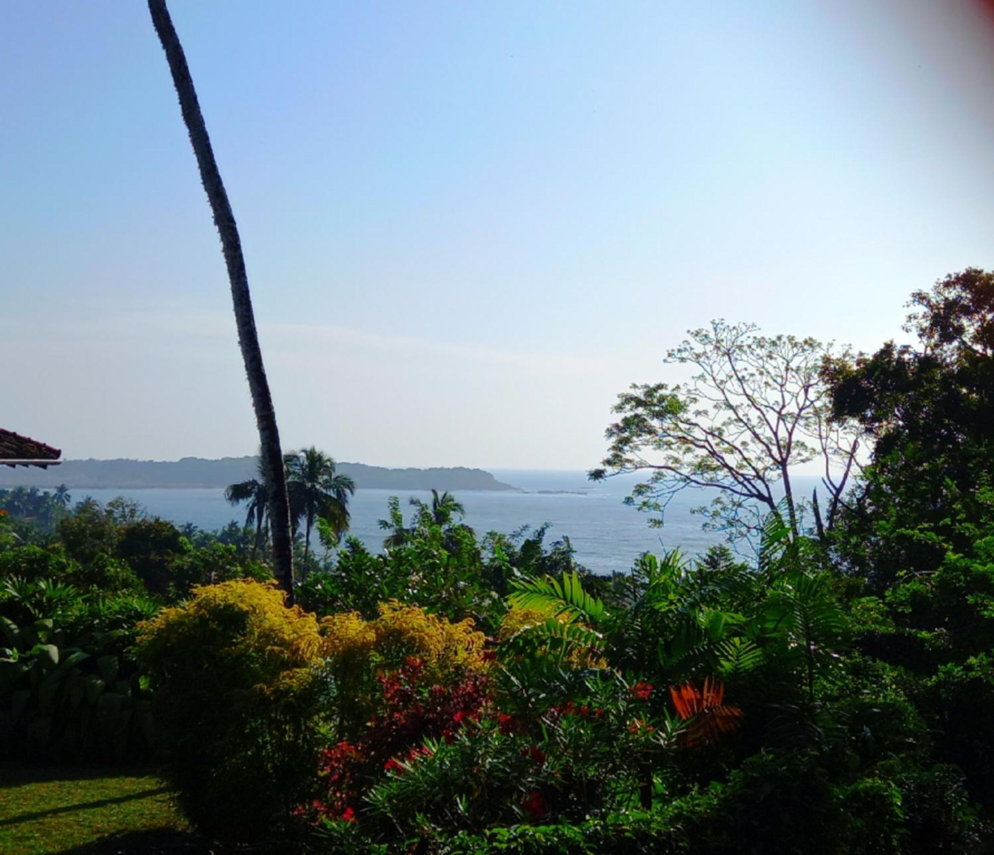 Blue Ocean Tree House Hiriketiya Villa Диквела Екстериор снимка