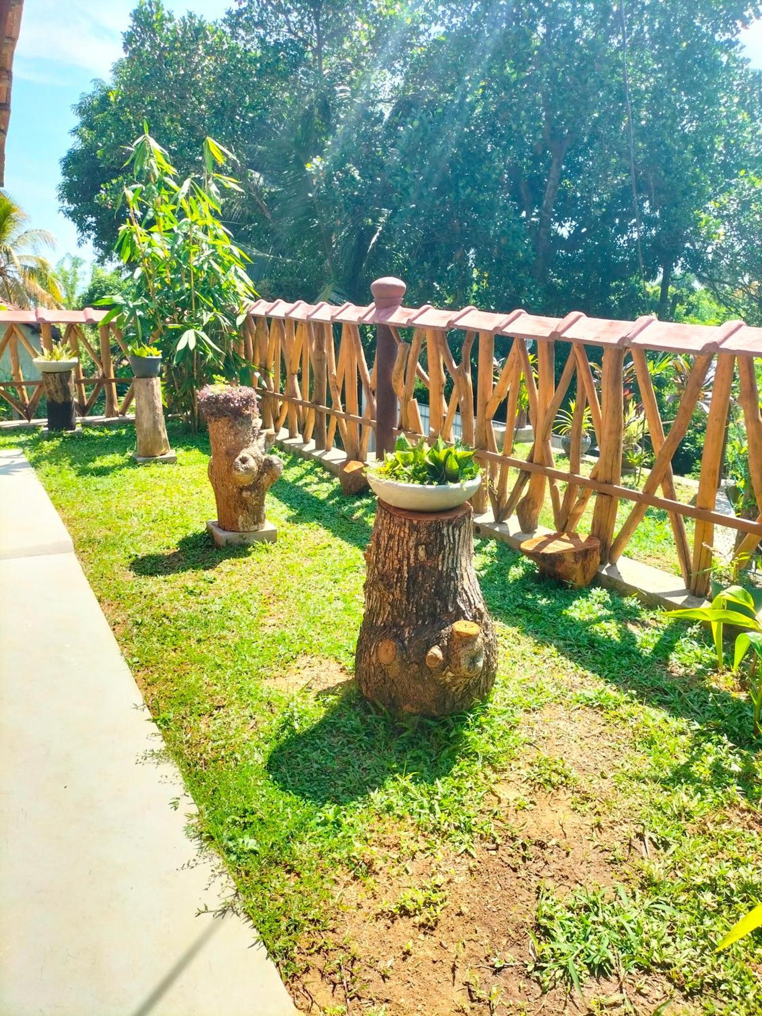 Blue Ocean Tree House Hiriketiya Villa Диквела Екстериор снимка